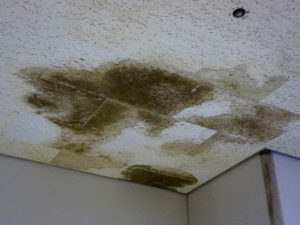 Emergency Roof Repairs in Ohio