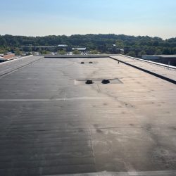 Flat rooftop with a view of distant trees and buildings in the background under a clear blue sky.